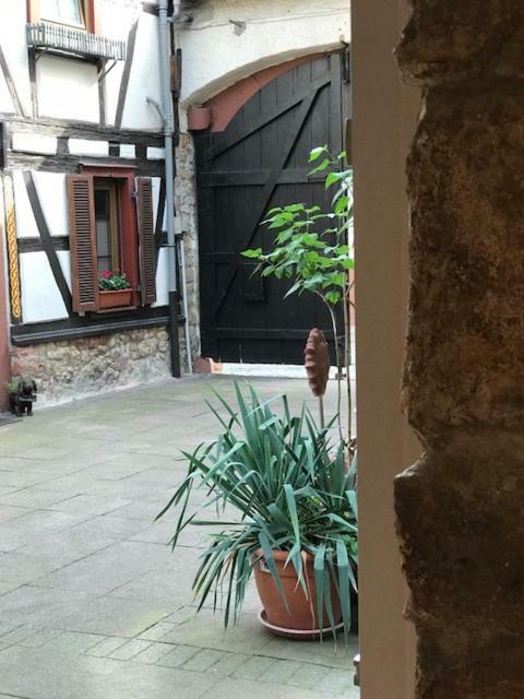 Buedinger Hof Weinheim Exterior foto